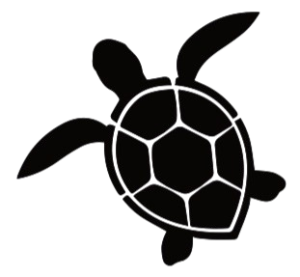 logo sem fundo